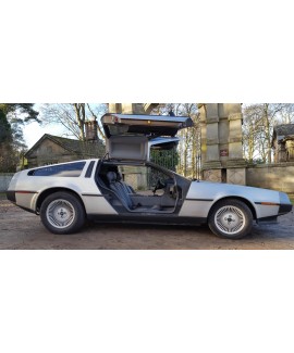 DeLorean For Sale - VIN 2959